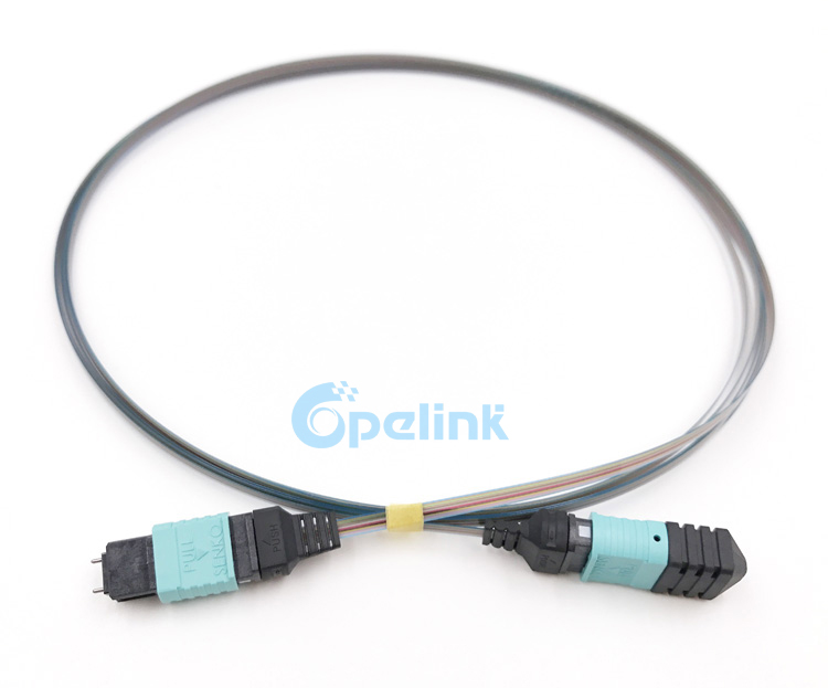 12-Fiber MPO/MTP Ribbon Cable OM3 Fiber Optic Patch Cable