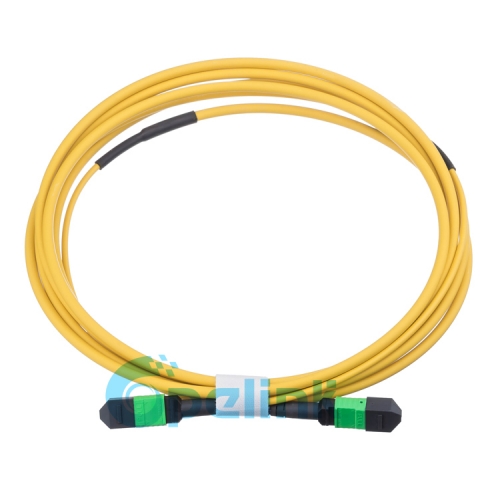 MPO/MTP Round Fiber Cable Singlemode Fiber Optic Patch Cord