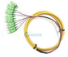 SC/APC Boundle Distribution Fiber Pigtail, SM 9/125 Fanout 0.9mm Optical Fiber Pigtail