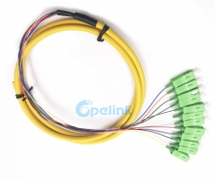 SC/APC Boundle Distribution Fiber Pigtail, SM 9/125 Fanout 0.9mm Optical Fiber Pigtail