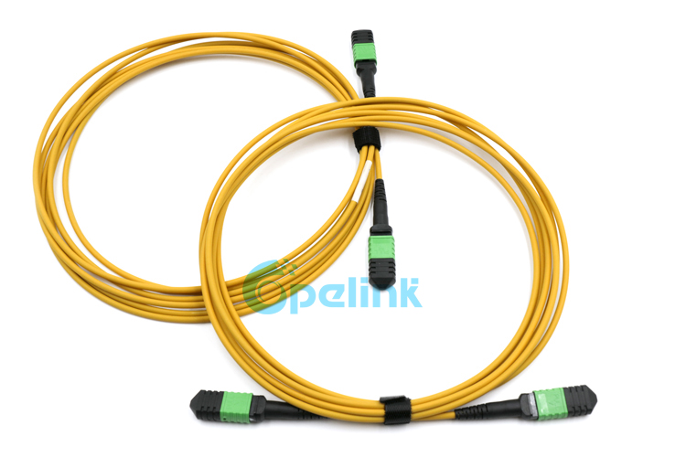 12Fibers Singlemode MPO Fiber Optic Patch Cable, LSZH yellow color