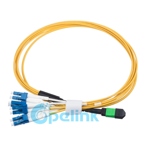MTP/MPO jumpers，12-fiber MPO Trunk cables