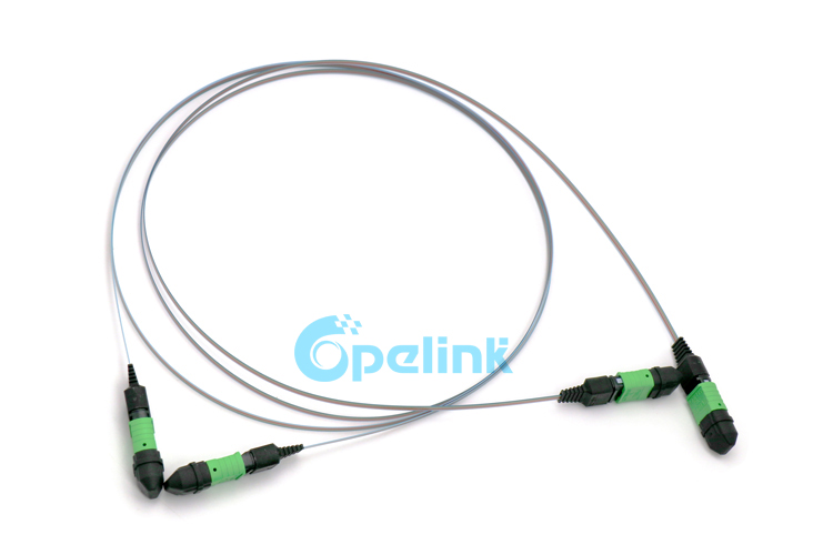 12 fiber Ribbon cable MPO Patchcord