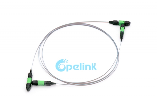 MPO Ribbon Cable: MPO to MPO Fiber jumper, Singlemode, 12 Fibers Bare Ribbon