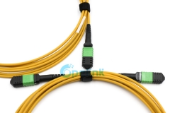 MPO Fiber Optic Patch Cable, 12Fibers Singlemode Fiber Optic PatchCord