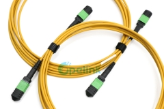 MPO Fiber Optic Patch Cable, 12Fibers Singlemode Fiber Optic PatchCord