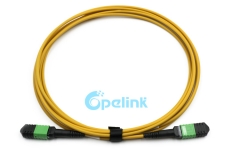 MPO Fiber Optic Patch Cable, 12Fibers Singlemode Fiber Optic PatchCord