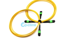 MPO Fiber Optic Patch Cable, 12Fibers Singlemode Fiber Optic PatchCord