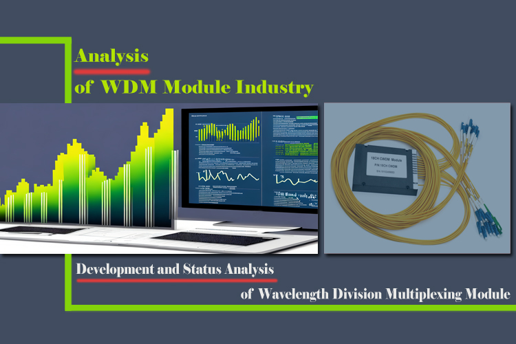 Detailed Analysis of WDM Module Industry