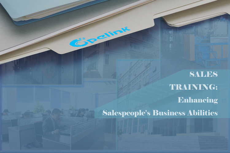 Enhancing Salespeople's Business Abilities through Training